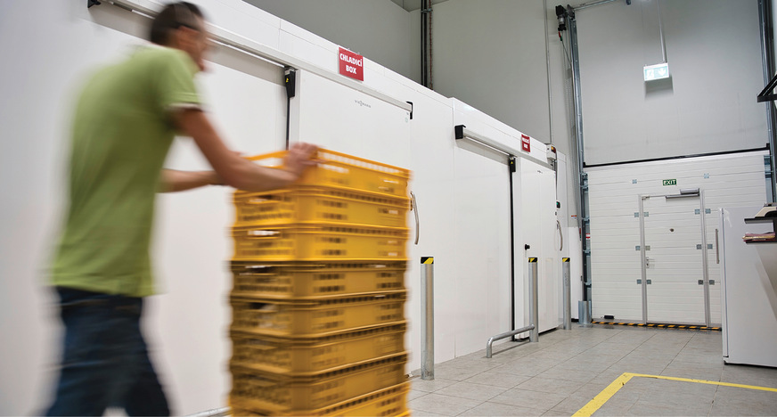Kühl- und Tiefkühlzellen TectoCell für die hygienische gekühlte Lagerung von Waren.