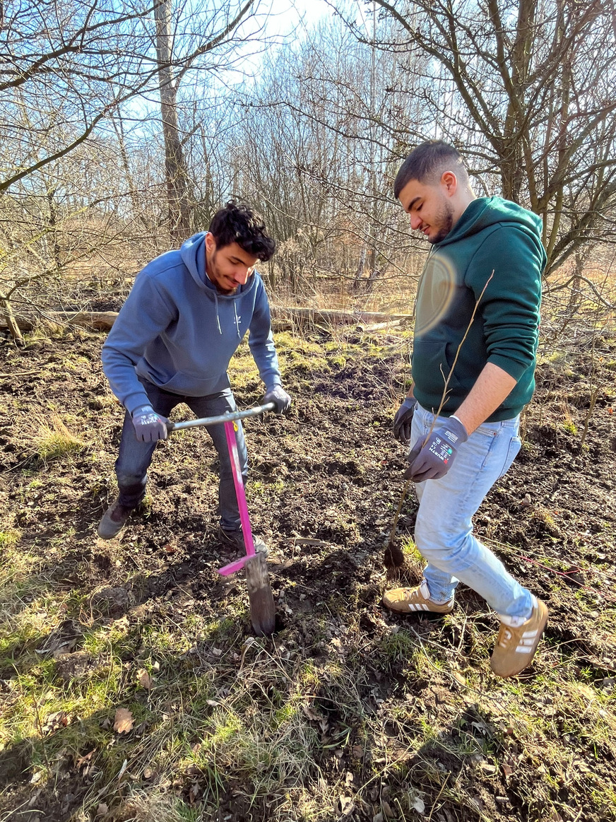 Teamwork bei der Pflanzaktion