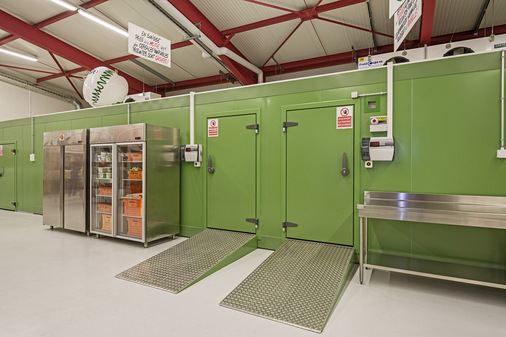 Kombinierte Kühl- und Tiefkühlzellen in RAL 6011, Union Maraichére in Genf - © Bild: Roma
