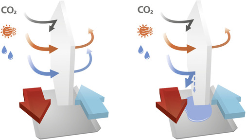 Die Freshbox 100 Wifi gibt es in verschiedenen Varianten mit unterschiedlichen Wärmeübertragern. Je nach Ausführung wird auftretendes Kondensat in einer Auffangwanne gesammelt oder über die Enthalpiemembran auf die Abluft übertragen.