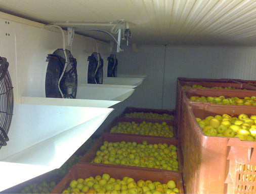 Luftfeuchte, -temperatur und -geschwindigkeit müssen während der gesamten Langzeitlagerung konstant bleiben.