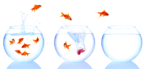 Erfolgreiche Unternehmen setzen den Fokus auf ihre Stärken und suchen sich 
passende Märkte und Nischen
