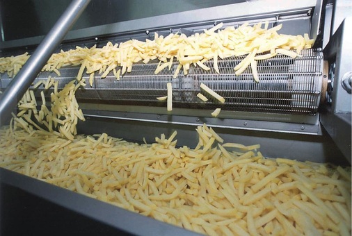 Produktionslinie für Pommes frites bei Agrarfrost in Aldrup
