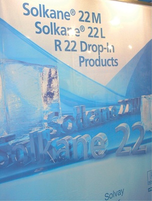 Solvay nutzte die Mostra, um Solkane 22L (R 417B) als Ersatzstoff für R 22 
in Tiefkühlanwendungen vorzustellen
