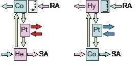 Bild 7: Schema eines einfachen KV-Systems mit Einspeisung von thermischer 
Energie; links: Winterfall, rechts: Sommerfall [2]
