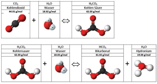 Bild 3: Chemische ­Reaktionen zwischen Wasser und CO2.
