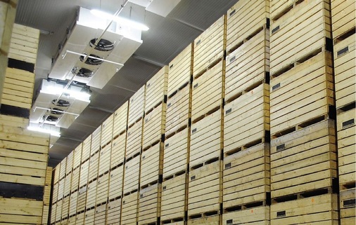 Kistenanordnung im Möhrenlager Greengrow mit den mittig im Raum montierten 
Doppelblock-Luftkühlern DGN.
