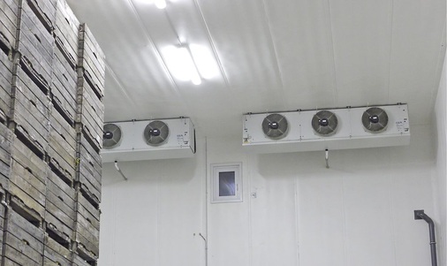 Moderne Hochleistungsverdampfer der GEA-Küba „Blue-Line“ sorgen heute 
für optimale lagerklimatische Verhältnisse für die Apfelernte aus dem 
Umland.
