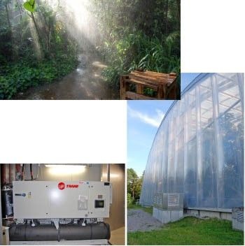 Im 11 000 m² großen Tropenhaus des Zoo Zürich können die Besucher zweimal 
am Tag einen „echten“ Tropen­regen miterleben. Beheizt und gekühlt wird 
die Anlage seit einem halben Jahr mithilfe einerWärmepumpe von Trane, deren 
Leistungsvolumen bei 700 kW…