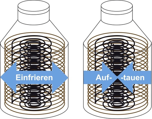 Bild 6: Gerichtetes Einfrieren und Auftauen im Eisspeicher.
