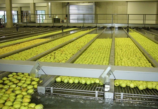 Apfelwaschanlage des Obstgroßhändlers Gößl
