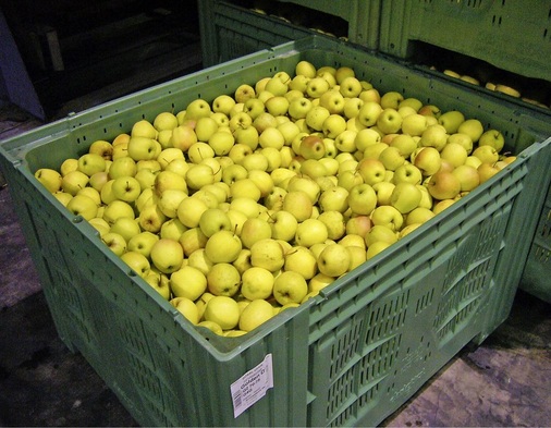 Nur beschränkt haltbare Lebensmittel wie Äpfel lassen sich ebenso 
wirtschaftlich wie umweltfreundlich kühlen.
