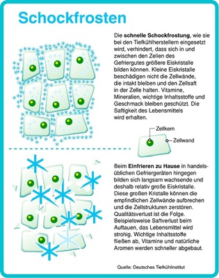 Bild 2: Eiskristallbildung [1]
