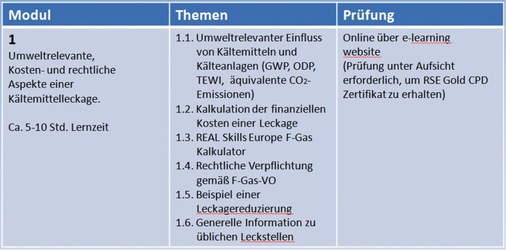 Tabelle 1: E-Learning-Modul 1

