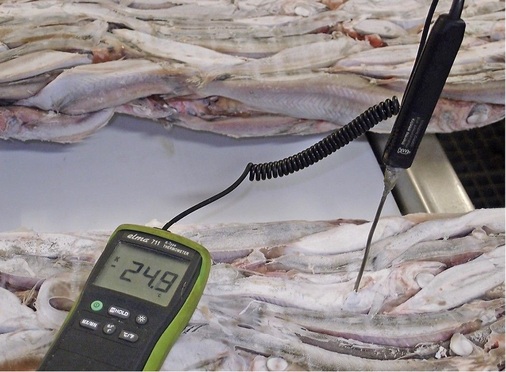 Ziel erreicht: Die Kerntemperatur nach dem Gefrieren liegt weit unter der 
Marke von 18 °C.
