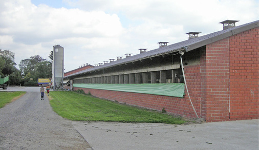 Der Putenstall bietet Platz für 3 000 Puten.
