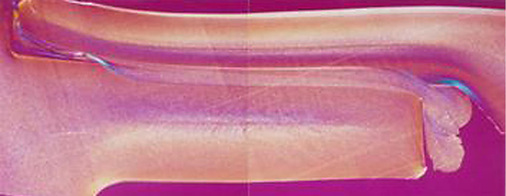 Der direkte Vergleich mit der Muffenschweißung belegt die übereinstimmend 
hohe Qualität der beiden Techniken.
