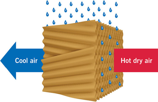 Bild 2: Befeuchtungsmatten
