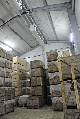 Die sorgfältig aufeinander abgestimmten Kältekomponenten ermöglichen eine 
verlustlose Lagerung von Karotten und Sellerie.
