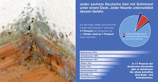 Jeder sechste Deutsche hat zu Hause Schimmel an den Wänden. Das hat die 
repräsentative Studie Wohnen und Leben 2012“ gezeigt. Für die Studie 
wurden im Auftrag von immowelt.de 1012 Personen vom Marktforschungsinstitut 
Innofact befragt.

