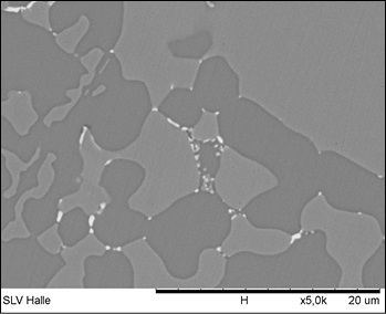 Bild 9: Globulare Phosphorverteilung mit Silberansammlungen (hell) an den 
Rändern

