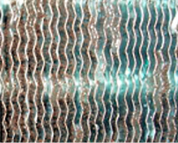 Bild 5: Ein jeweils mit Schimmel beaufschlagter Aluminium- und reiner 
Kupfer-Wärmeübertrager nach 28 Tagen Einwirkung. Danach zeigt sich beim 
Gerät aus reinem Kupfer (rechts) kein Schimmelwachstum, während das 
Aluminiumgerät (links) ein beträchtliches…