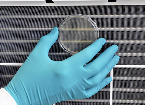 Mikrobiologische Prüfungen werden durch Kontaktkulturproben (sogenannte 
Abklatschproben) durchgeführt.

