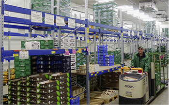 
Blick in das Gemüselager

