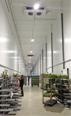 Beidseitig ausblasende Kühler Dual Vario DGN mit langsam drehenden 
Ventilatoren verhindern in den Gängen und Produktionsräumen wirksam die 
Gefahr der Produktaustrocknung, da sie für eine zugluftfreie Luftverteilung 
sorgen.

