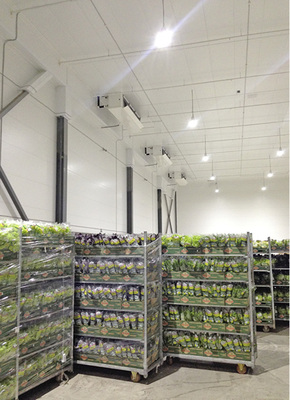 AGRI Application-Kühler vom Typ GACA mit drückenden Ventilatoren und 
Luftleitblechen sorgen innerhalb der Lagerräume für ein sehr geringes Delta 
T, um eine möglichst geringe Entfeuchtung des Kühlgutes zu erreichen.

