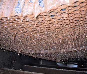 Verschleimte Kühlturmeinbauten

