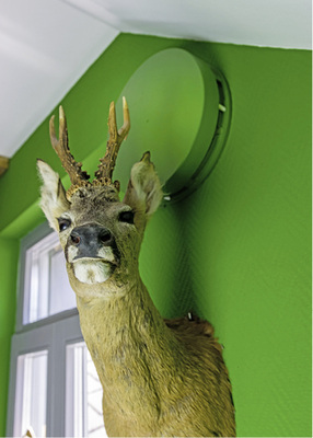 
Viele Lüfter lassen sich individuell gestalten und werden damit im Raum 
nahezu unsichtbar“.

