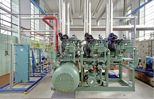 
Das ACP mit drei Bitzer Schraubenverdichtern der OSKA 85er-Baureihe ist 
anlagenbedingt genau die richtige Lösung für den Schlachthofbetrieb.

