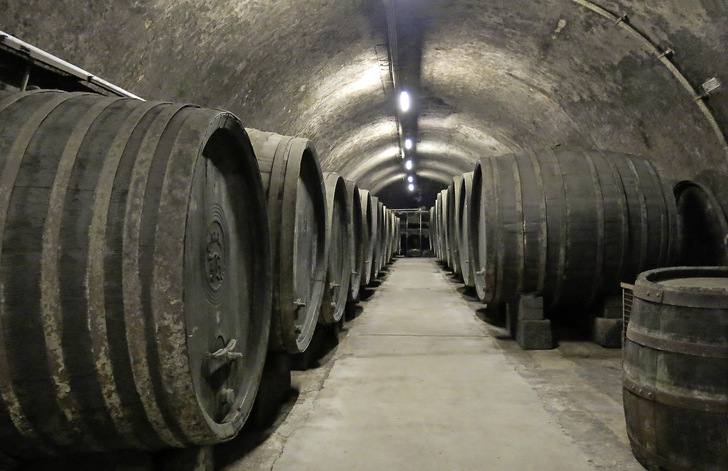 Blick in das Kellergewölbe der Sektkellerei Inführ mit historischem Schaukeller. Das Unternehmen ist die meistprämierte Sektkellerei Österreichs, mehrfacher Sektweltmeister und Träger des Österreichischen Staatswappens.