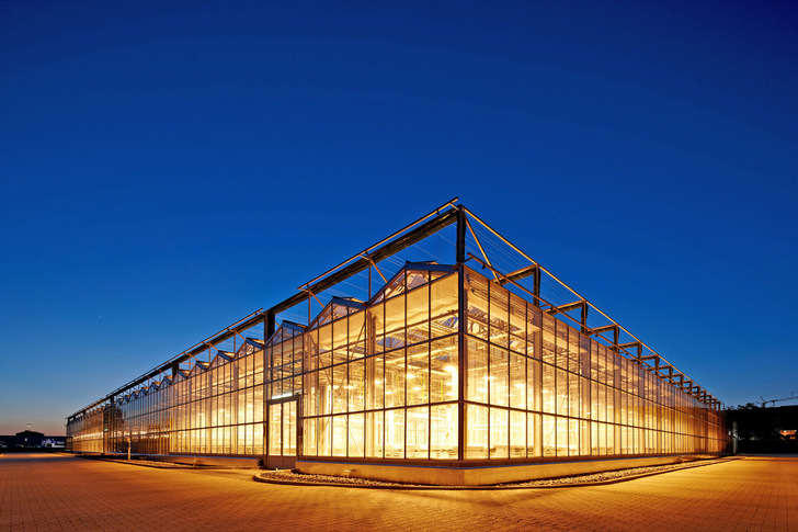 Der Gewächshauskomplex LEO ist rund 20 000 Quadratmeter groß. Die neue Kältezentrale sorgt mit ihrer Gesamtkälteleistung von 3,8 MW für optimale Bedingungen für die Pflanzen. - © Bild: KWS
