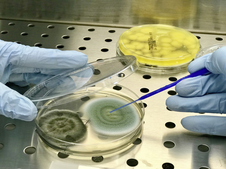 Bei mikrobiologischen Untersuchungen im Zusammenhangen mit RLT-Anlagen sind vielfältige Regeln zu beachten. - © Bild: Gesa
