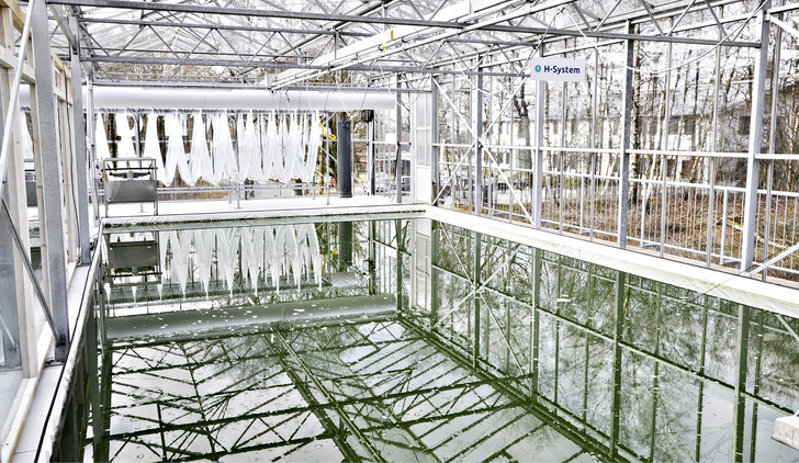 Eindrucksvoll: Oben Algen, unten High-Tech. Das klimaneutral arbeitende Rechenzentrum hat eine Leistung von 60 kW. - © Bild: Weiss Technik
