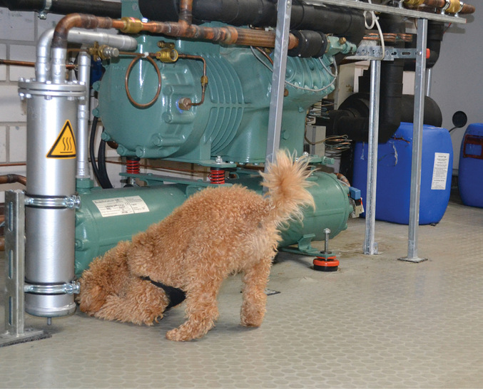 Henry beim Training in der Bundesfachschule an einer R407F-Anlage.
