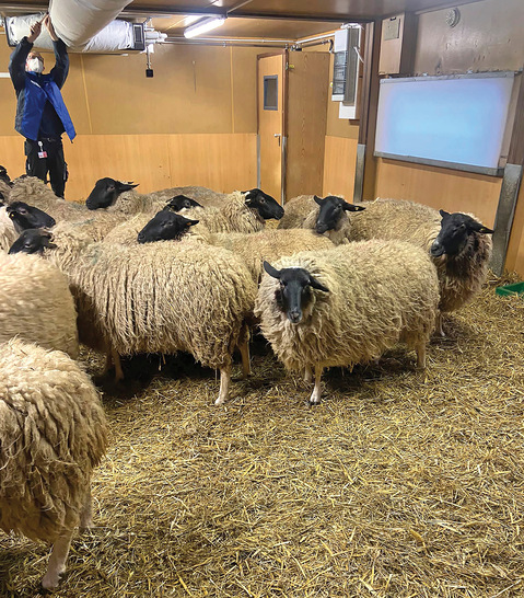 Angenehme Raumtemperatur für die tierischen Bewohner.