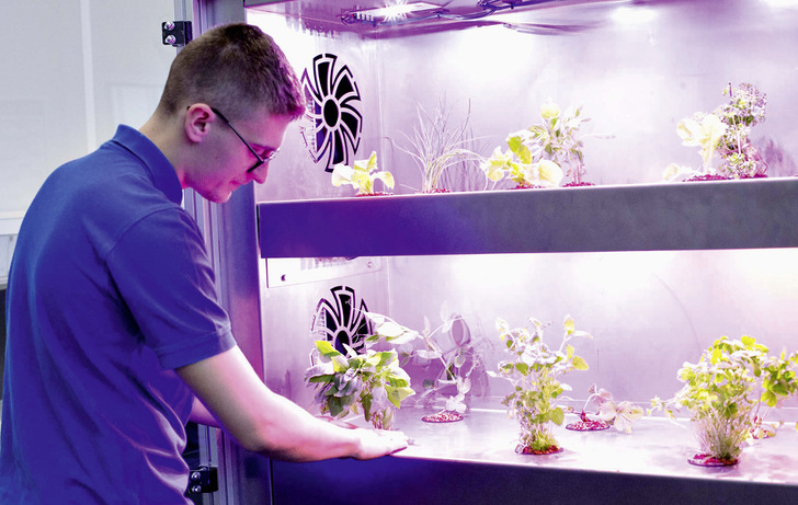 Die Energiescouts analysieren mit der Vertical Farm einen ­gesamten ­Erntezyklus.