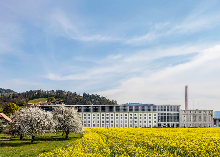 Von einer Kartonfabrik zum visionären Quartier: Der Bernapark vereint zeitgemäßes Arbeiten, Wohnen und Freizeit an einem Ort.