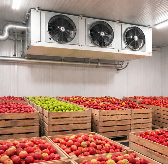 Die Kühlung eines Obstlager, das nicht dem Verkauf dient, ist im Sinne der F-Gase-Verordnung keine gewerbliche Verwendung.