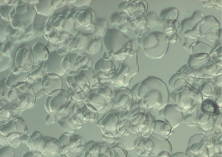 Bild 1: Flüssigeis unter dem Mikroskop. Die einzelnen Eispartikel sind bohnenförmig mit glatter Oberfläche und deshalb gut pumpbar, ohne zu verklumpen