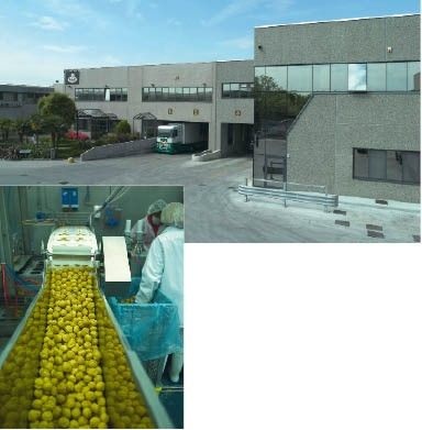 Solo Italia stellt in seinem Produktionswerk Dolcissimo in Ossona typisch italienische Desserts her von konfektioniertem Käse über Tiramisu bis Baba au Rhum. Das neue und hochmoderne Werk wurde nach den aktuellen Hygienebestimmungen errichtet und nach den strengsten Qualitätsverfahren zertifiziert. Das Werk verfügt zudem über eine gut ausgestattete ­Forschungs- und Entwicklungsabteilung