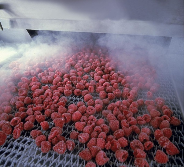 Im IQF-Verfahren gefrorene Himbeeren.