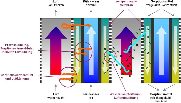 Bild 1: Prinzip eines indirekten flüssigen Sorptionsprozesses über eine semipermeable Membran