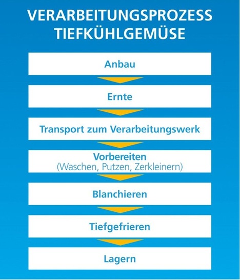 Bild 1: Verarbeitungsprozess Tiefkühlgemüse [1]