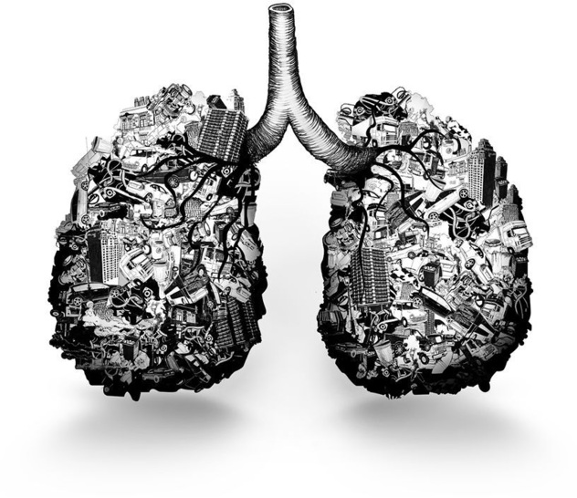 Die durch Feinstaub verursachte Palette der möglichen Erkrankungen reicht von entzündlichen Veränderungen im Atemtrakt bis hin zur Beeinträchtigung von Herz und Kreislauf. Deshalb sollte in Schulen für eine gesunde Raumluft durch effektive Luftreinigung gesorgt werden.