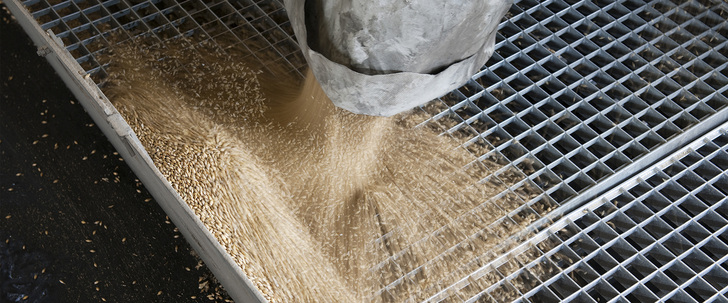 Abwärme von Kälteanlagen für die Malzdarre nutzen