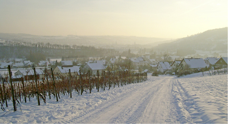 Wärme- und Feuchte-Rückgewinnung mit einem System